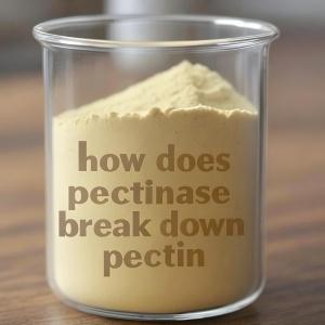 How does pectinase break down pectin How does pectinase break down pectin