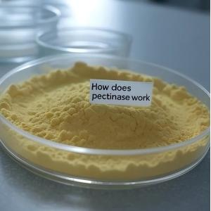 How does pectinase work How does pectinase work