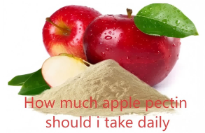 How much apple pectin should i take daily How much apple pectin should i take daily