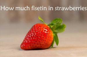 How much fisetin in strawberries How much fisetin in strawberries