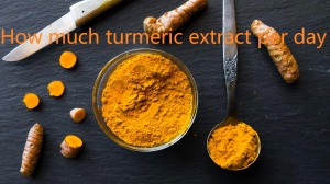 How much turmeric extract per day How much turmeric extract per day