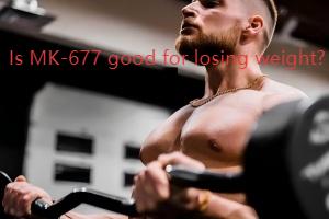 Is MK-677 good for losing weight?