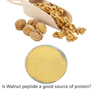 Is Walnut peptide a good source of protein? Is Walnut peptide a good source of protein?