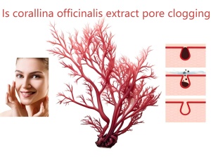Is corallina officinalis extract pore clogging​
