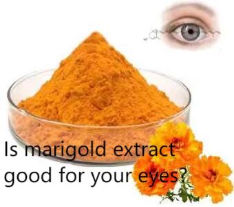 Is marigold extract good for your eyes? Is marigold extract good for your eyes?