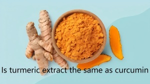 Is turmeric extract the same as curcumin