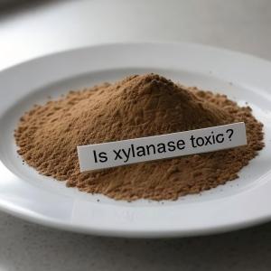 Is xylanase toxic?