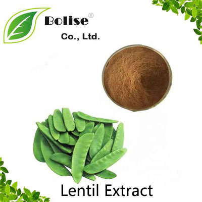 Lentil Extract Lentil Extract