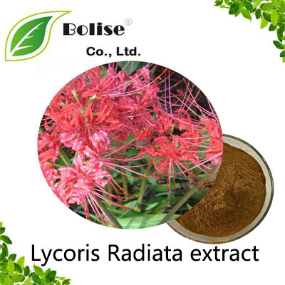 Lycoris Radiata extract