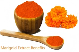 Marigold Extract Benefits Marigold Extract Benefits