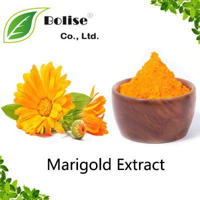 Marigold Extract