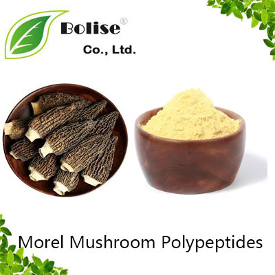 Morel Mushroom Polypeptides