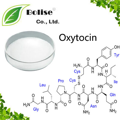 Oxytocin Oxytocin
