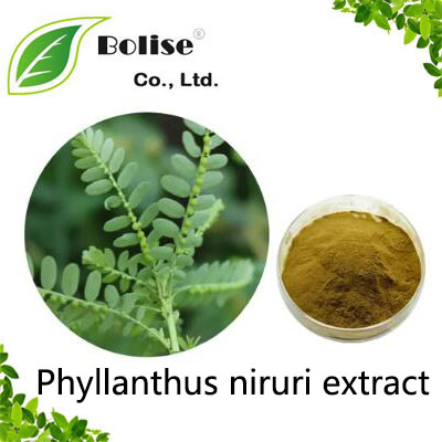 Phyllanthus niruri extract Phyllanthus niruri extract