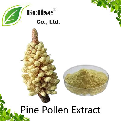 Pine Pollen Extract Pine Pollen Extract
