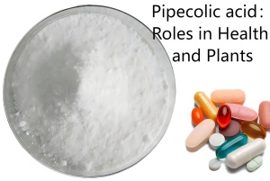 Pipecolic acid:Roles in Health and Plants Pipecolic acid:Roles in Health and Plants