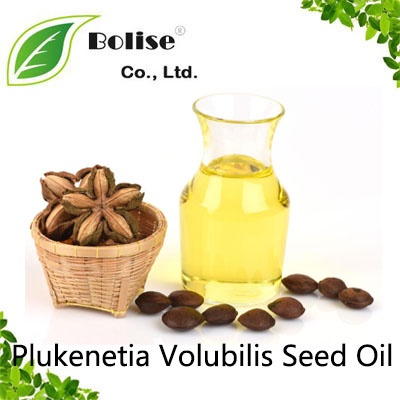 Plukenetia Volubilis Seed Oil Plukenetia Volubilis Seed Oil