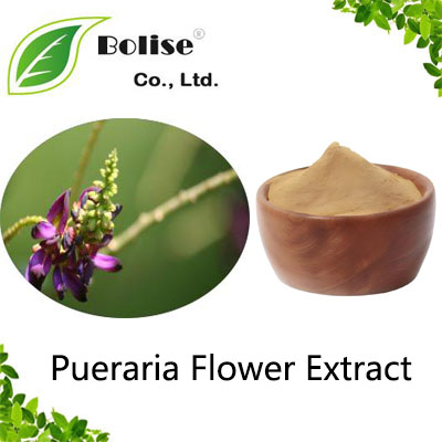 Pueraria Flower Extract Pueraria Flower Extract