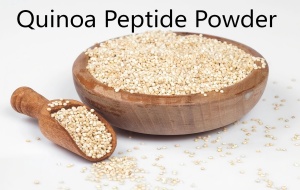 Quinoa Peptide Powder for Nutrition Supplements – Plant-Based Protein Hydrolysate Quinoa Peptide Powder for Nutrition Supplements – Plant-Based Protein Hydrolysate
