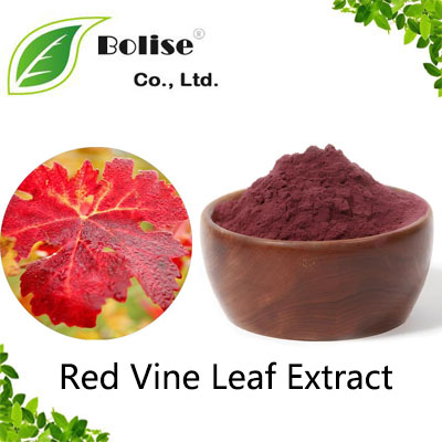 Red Vine Leaf Extract Red Vine Leaf Extract
