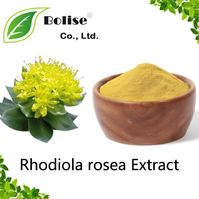 Rhodiola rosea Extract