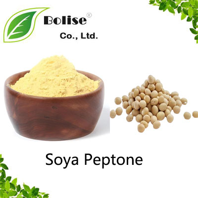Soya Peptone