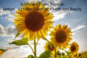 Sunflower Pollen Peptide: Nature’s Hidden Gem for Health and Beauty Sunflower Pollen Peptide: Nature’s Hidden Gem for Health and Beauty