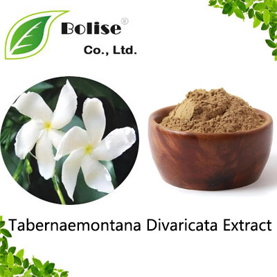 Tabernaemontana Divaricata Extract Tabernaemontana Divaricata Extract