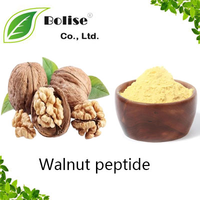 Walnut peptide