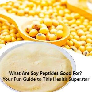 What Are Soy Peptides Good For? Your Fun Guide to This Health Superstar