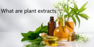 What are plant extracts