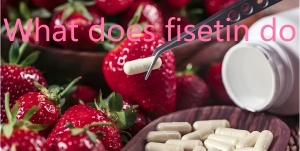 What does fisetin do What does fisetin do
