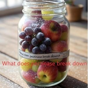 What does pectinase break down What does pectinase break down