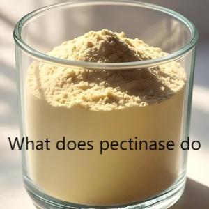 What does pectinase do What does pectinase do