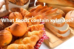 What foods contain xylanase? What foods contain xylanase?