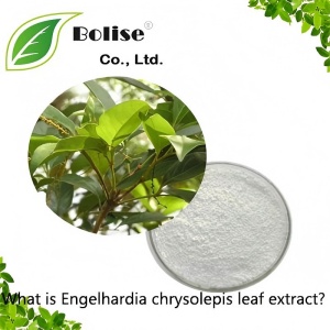 What is Engelhardia chrysolepis leaf extract? What is Engelhardia chrysolepis leaf extract?