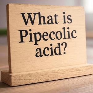 What is Pipecolic acid What is Pipecolic acid