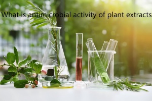 What is antimicrobial activity of plant extracts What is antimicrobial activity of plant extracts