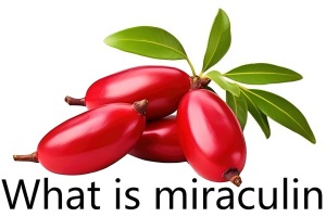 What is miraculin What is miraculin