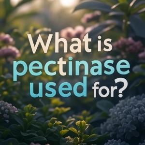 What is pectinase used for What is pectinase used for
