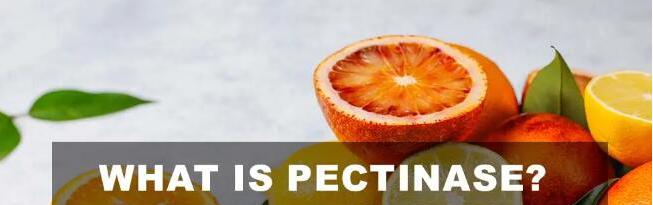 What is pectinase What is pectinase