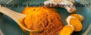 What is the benefit of turmeric extract?