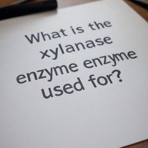 What is the xylanase enzyme used for?