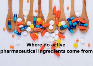 Where do active pharmaceutical ingredients come from
