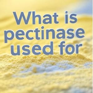 Where does pectinase come from