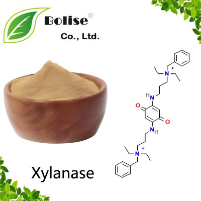 Xylanase Xylanase