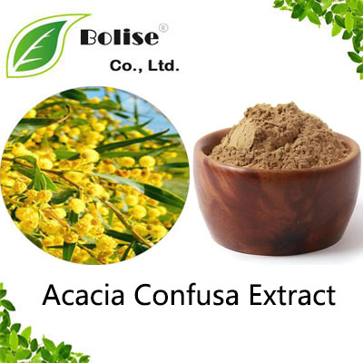 Acacia Confusa Extract Acacia Confusa Extract