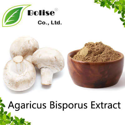 Agaricus Bisporus Extract Agaricus Bisporus Extract