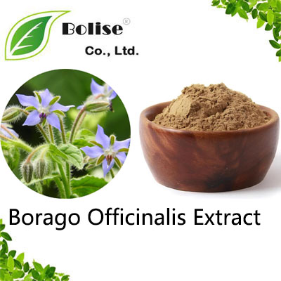 Borago Officinalis Extract Borago Officinalis Extract