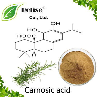 Carnosic acid Carnosic acid